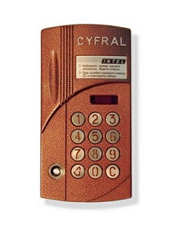 Вызывная панель CYFRAL ССД-2094М/РVС - фото 11265