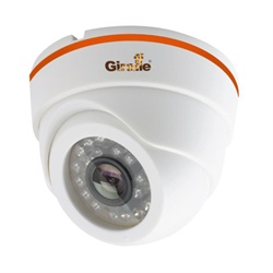 Видеокамера Giraffe GF-DIR4420AHD 03192 - фото 24545