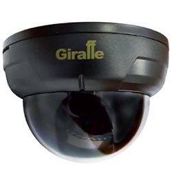 Видеокамера Giraffe GF-D4322HD 03245 - фото 24600