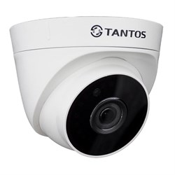 Видеокамера Tantos TSi-Eeco25FP 29828 - фото 33799