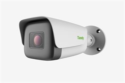 Видеокамера TIANDY TC-C35LS I8/E/A/2.8-12мм 34435 - фото 38217