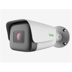 Видеокамера TIANDY TC-C32TS I8/A/E/Y/M/H/2.7-13.5mm 34437 - фото 38219