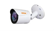 Видеокамера КАРКАМ CAM-4891P 05812