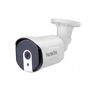 Видеокамера Falcon Eye FE-IB1080MHD PRO Starlight 06265