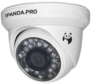 Видеокамера Panda iDOME 1080.vf 08786