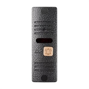 Вызывная панель CTV-D10 Plus серебро 34931