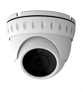 Видеокамера AltCam DDMV81IR 36858