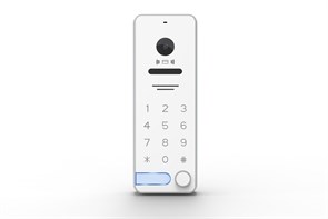 Вызывная видеопанель Tantos iPanel 2 WG EM KBD HD (White) 38850