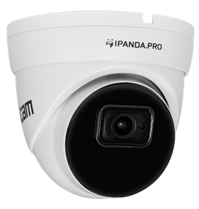 Видеокамера Panda iCAM FXD8WM (X) 38901