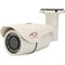 Видеокамера MicroDigital MDC-H6290VSL-24H 230015546 - фото 13211