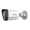 Видеокамера TIANDY TC-C34WP Spec:W/E/Y/2.8mm/V4.0 38590 - фото 42505